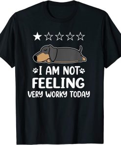 Dachshund Dog Sleep I Am Not Feeling Funny Puppy Dogs Lovers T-Shirt